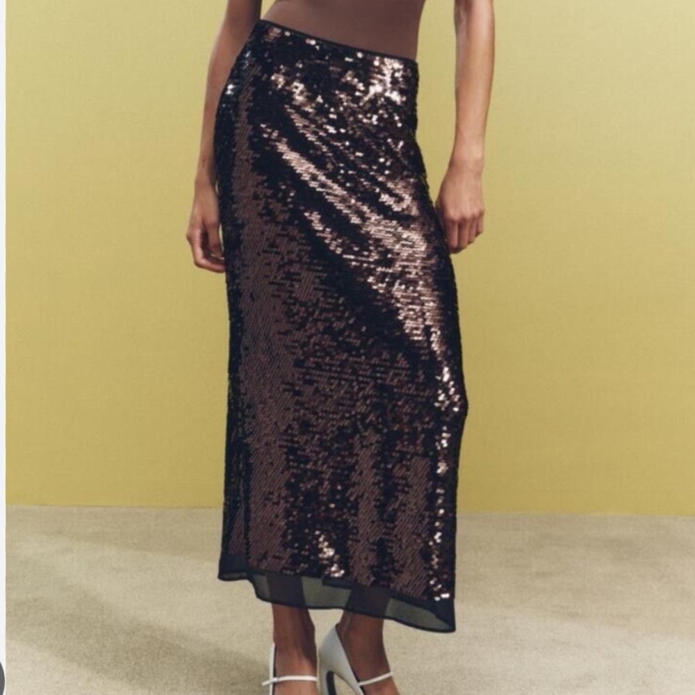 Zara Sequin Midi Skirt